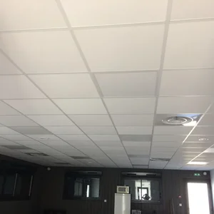 Caumes et Fils - plaquiste et plâtrier en Aveyron